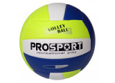 Мяч волейбольный Sportex E40006-5 р.5