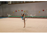 Ковер гимнастический соревновательный (толщ. 10мм. войлок+полиамид) 14х14м Atlet IMP-A409