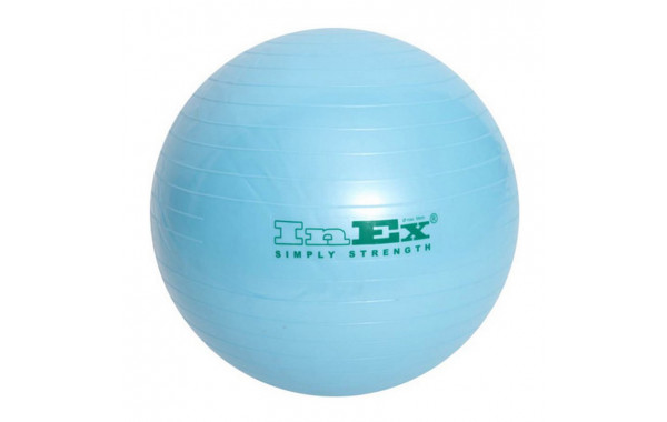 Мяч гимнастический Inex Swiss Ball BU-22 55см голубой 600_380