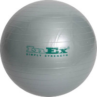 Мяч гимнастический Inex Swiss Ball BU-26 D65 см серебристый