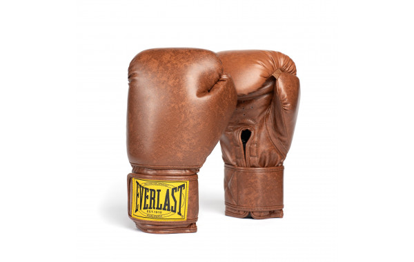 Перчатки тренировочные Everlast 1910 Classic PU 14oz P00003345 коричневый 600_380