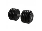 Гантель Профи с вращающейся ручкой, 46 кг MB Barbell MB-FdbM-B46