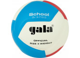 Мяч волейбольный Gala School 12 BV5715S р. 5
