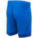 Шорты игровые Jogel DIVISION PerFormDRY Union Shorts, синий-темно-синий-белый 75_75