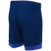 Шорты игровые Jogel DIVISION PerFormDRY Union Shorts, темно-синий/синий/белый 75_75