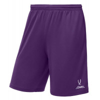 Шорты баскетбольные Jogel Camp Basic, фиолетовый