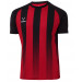 Футболка игровая Jogel Camp Striped Jersey, красный/черный 75_75