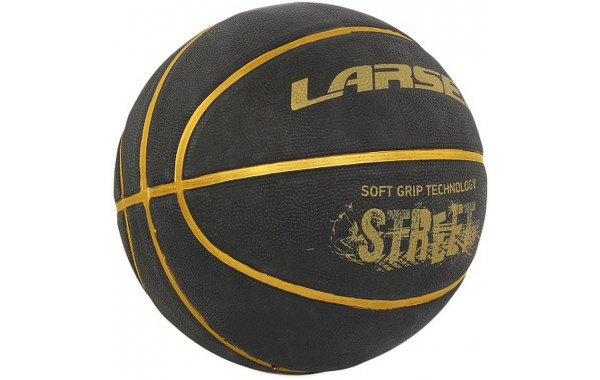 Мяч баскетбольный Larsen Street Gold р.7 600_380