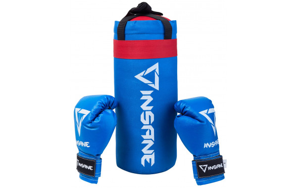 Набор для бокса Insane Fight, синий, 39х16 см, 1,7 кг, 4 oz 600_380