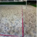 Разметка площадки для пляжного волейбола с колышкам для крепления в грунт Glav 03.3.300.1 75_75