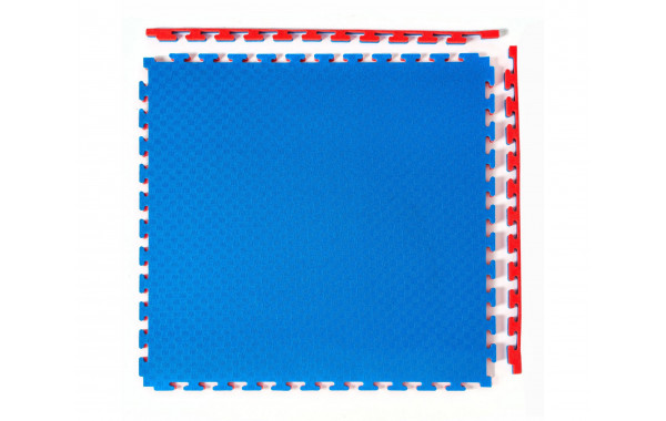 Будо-мат, 100x100 см, 40 мм DFC 12283 сине-красный 600_380