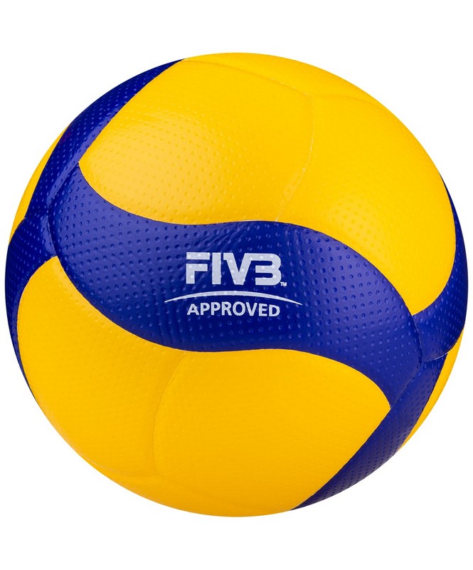 Мяч волейбольный Mikasa V300W FIVB р.5 665_800