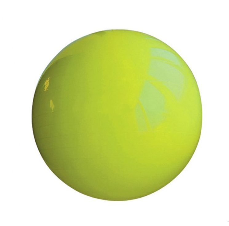 Гимнастический мяч Fitex Pro 55 см FTX-1203-55 зеленый 745_733