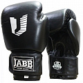 Боксерские перчатки Jabb JE-4021/Asia Legend черный 10oz 120_120
