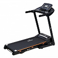 Беговая дорожка Royal Fitness RF-6 120_120