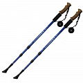 Палки для скандинавской ходьбы Sportex телескопическая, 3-х секционная F18437 синий 120_120