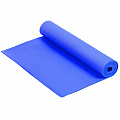 Коврик для фитнеса и йоги Larsen PVC синий р173х61х0,4см 120_120